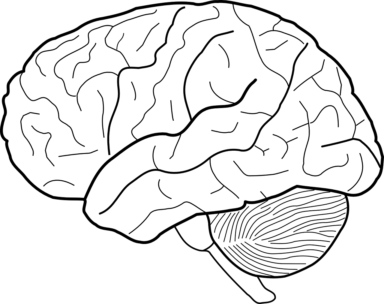 2025pj 第3页