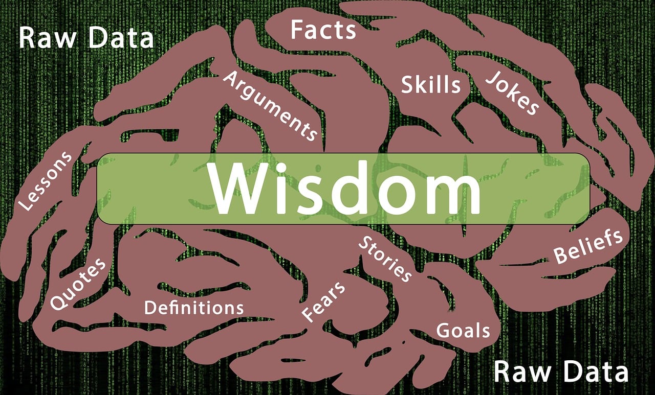 心理测试的准确性，科学与偏见的交织
